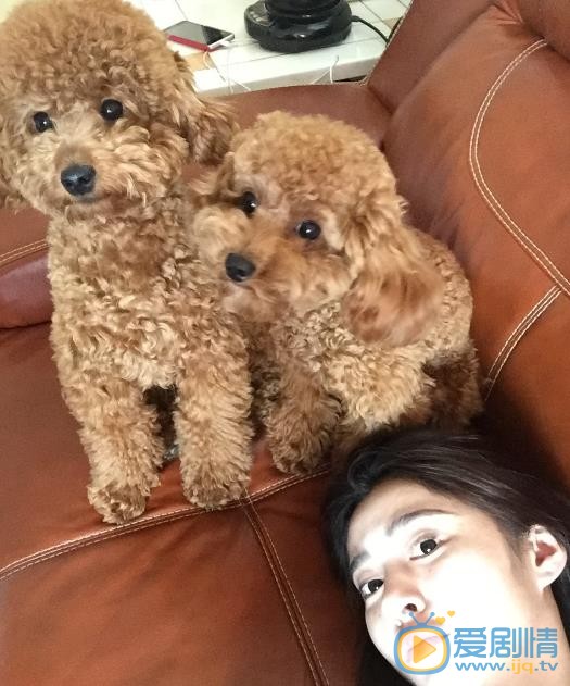 李心艾素颜生活照 李心艾高清写真_李心艾高清剧照