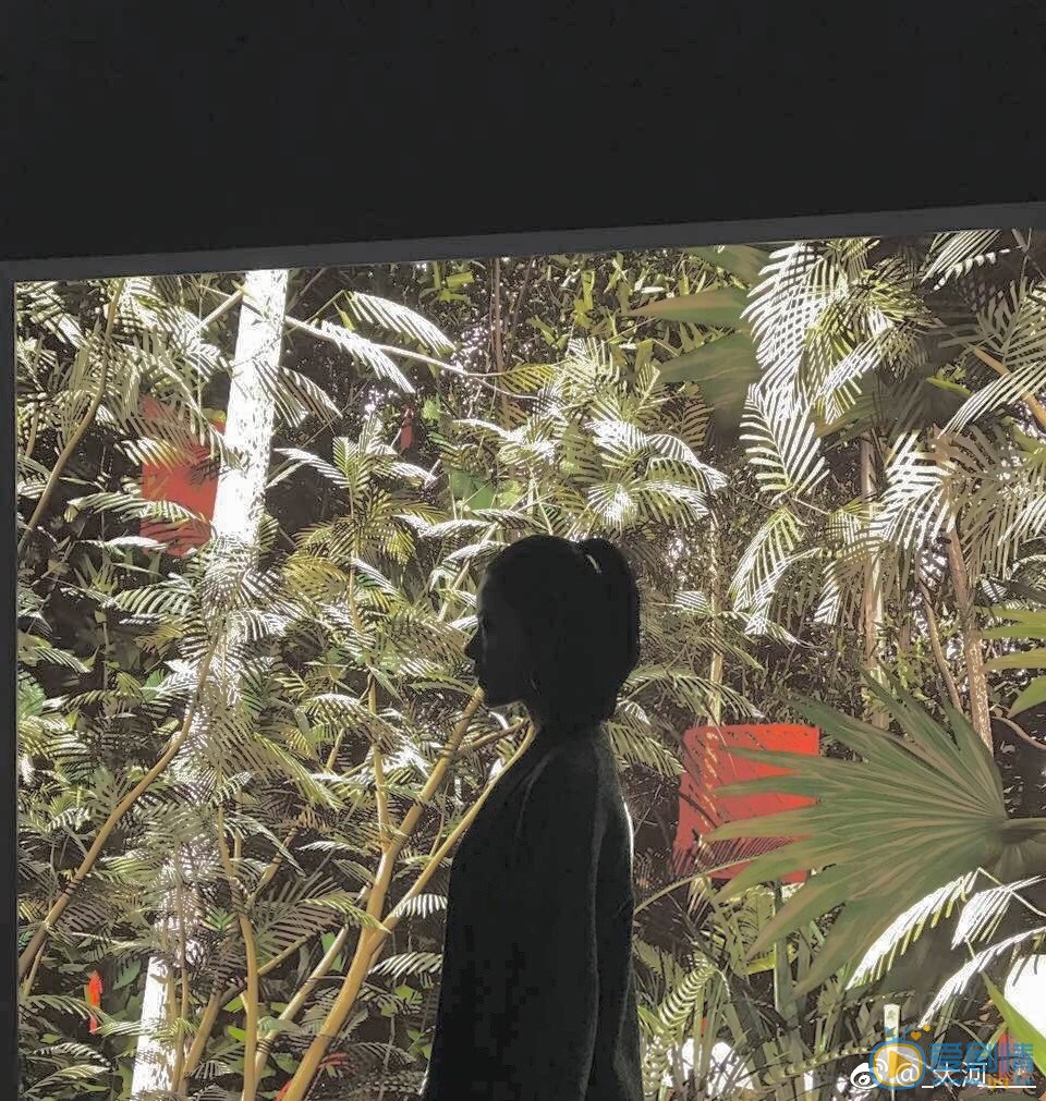 马瑞雯清纯写真 马瑞雯高清写真_马瑞雯高清剧照