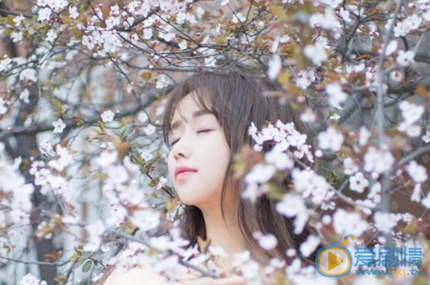 谭湘君樱花写真 谭湘君高清写真_谭湘君高清剧照
