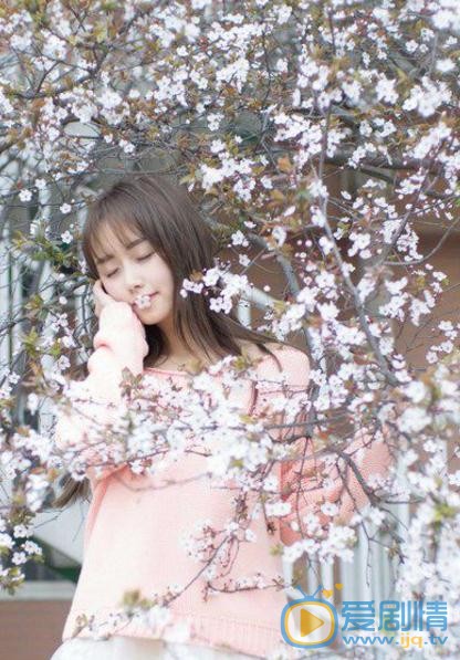 谭湘君樱花写真 谭湘君高清写真_谭湘君高清剧照
