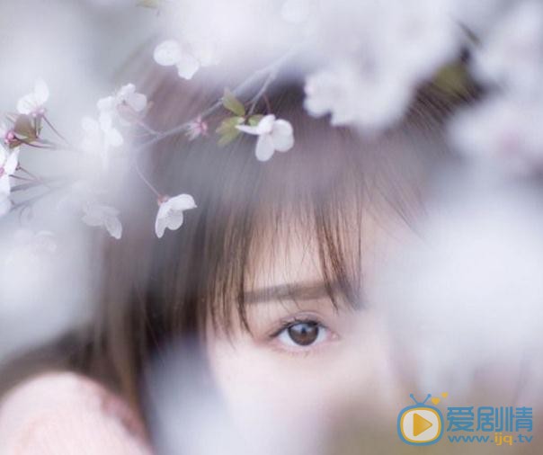 谭湘君樱花写真 谭湘君高清写真_谭湘君高清剧照