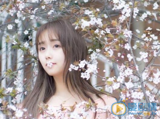 谭湘君樱花写真 谭湘君高清写真_谭湘君高清剧照