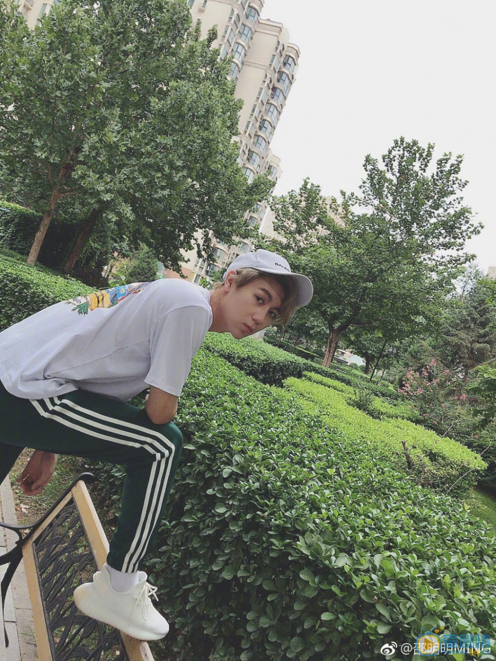 邵明明青春写真 邵明明高清写真_邵明明高清剧照