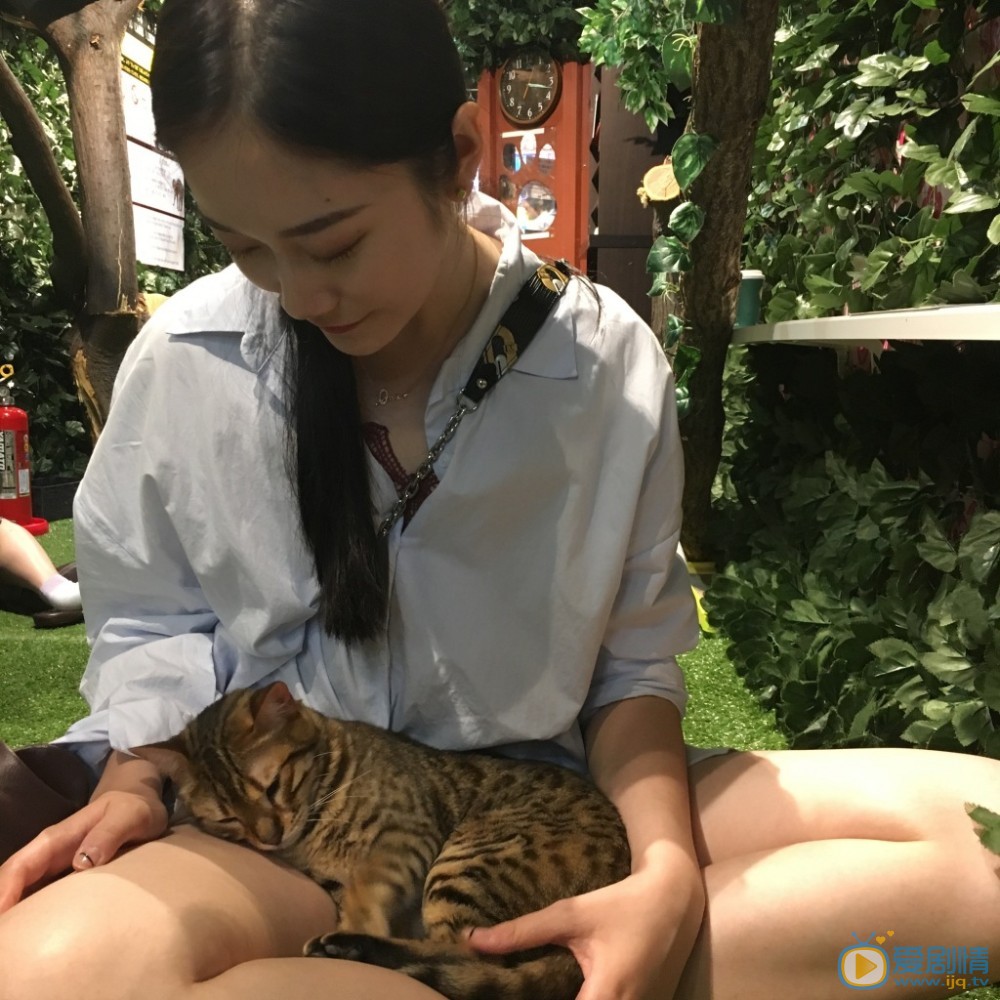 葛洧吟旅行写真 葛洧吟高清写真_葛洧吟高清剧照