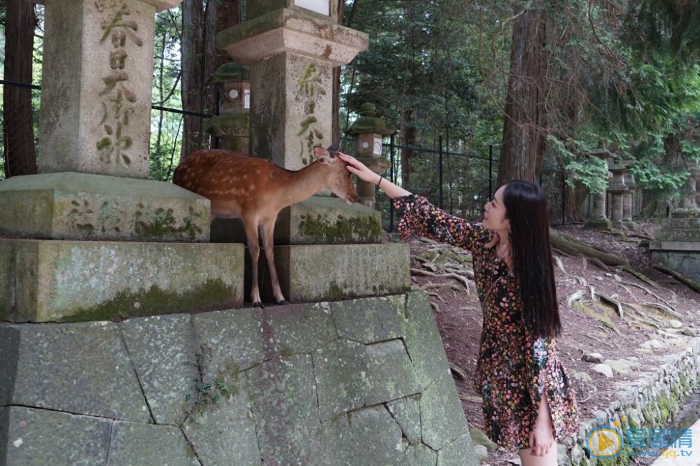 葛洧吟旅行写真 葛洧吟高清写真_葛洧吟高清剧照