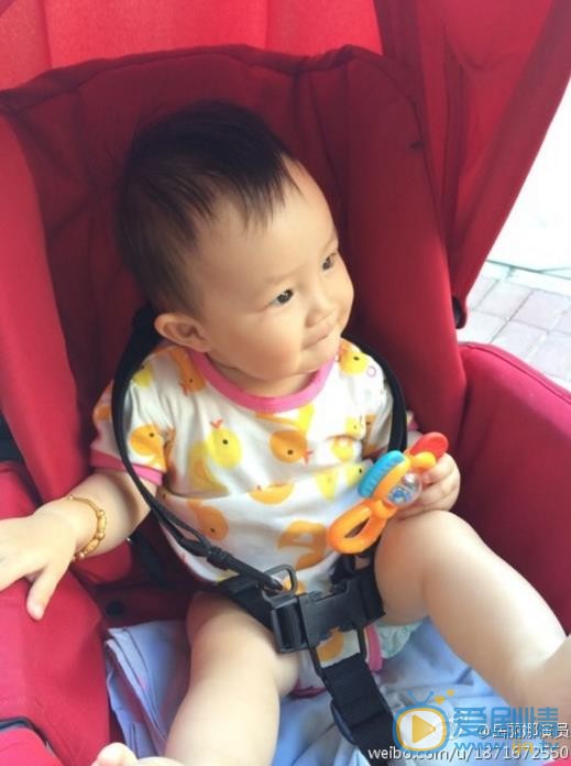 岳丽娜亲子照 岳丽娜高清写真_岳丽娜高清剧照