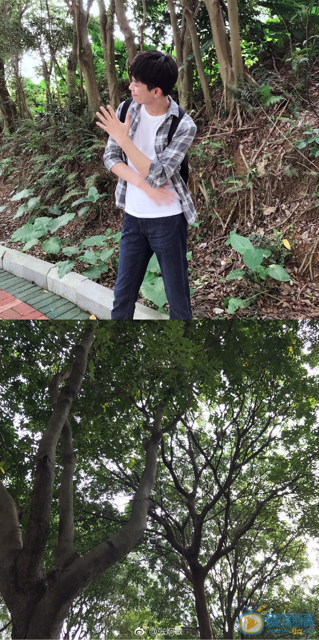 张炯敏旅行写真 张炯敏高清写真_张炯敏高清剧照