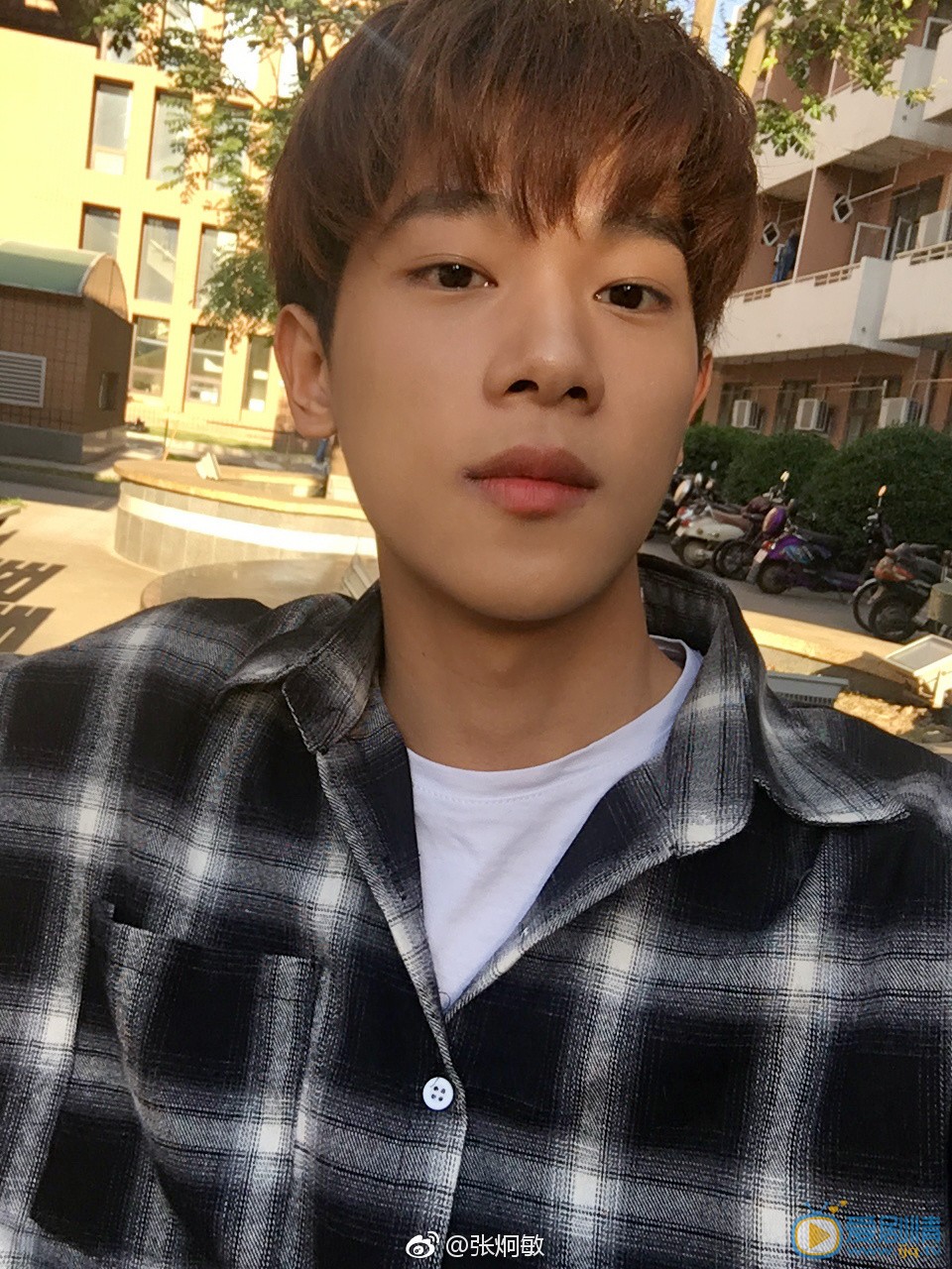 张炯敏街拍写真 张炯敏高清写真_张炯敏高清剧照