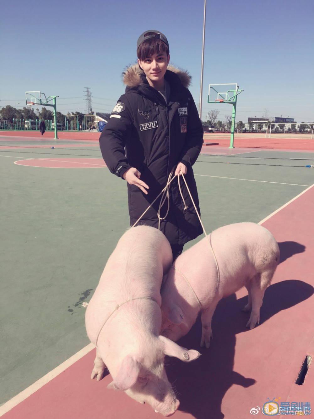 周禹彤生活照写真 周禹彤高清写真_周禹彤高清剧照