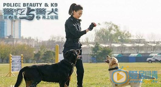 侯梦莎《警花与警犬之再上征程》剧照 侯梦莎高清写真_侯梦莎高清剧照