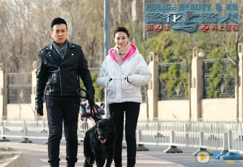侯梦莎《警花与警犬之再上征程》剧照 侯梦莎高清写真_侯梦莎高清剧照
