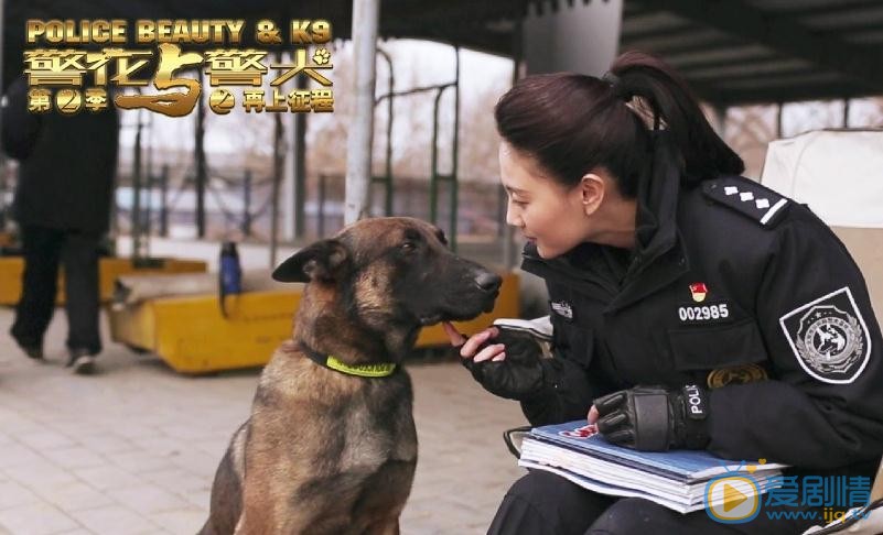 侯梦莎《警花与警犬之再上征程》剧照 侯梦莎高清写真_侯梦莎高清剧照
