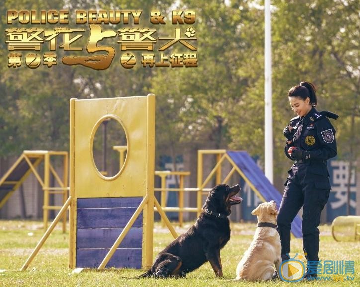 侯梦莎《警花与警犬之再上征程》剧照 侯梦莎高清写真_侯梦莎高清剧照