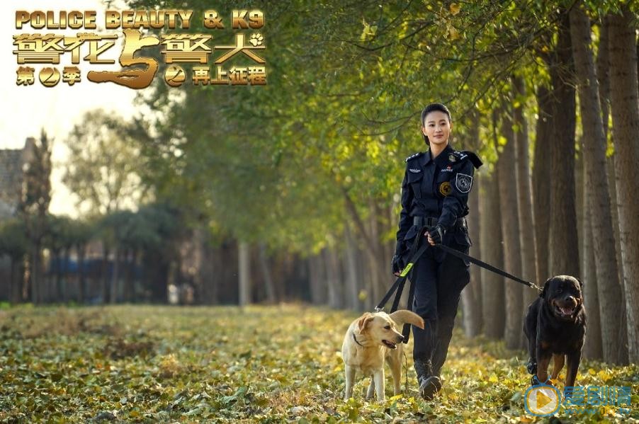 侯梦莎《警花与警犬之再上征程》剧照 侯梦莎高清写真_侯梦莎高清剧照