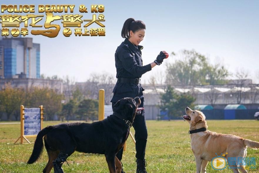 侯梦莎《警花与警犬之再上征程》剧照 侯梦莎高清写真_侯梦莎高清剧照
