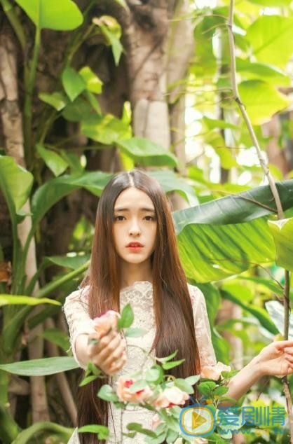 张鹤怡花儿写真 张鹤怡高清写真_张鹤怡高清剧照