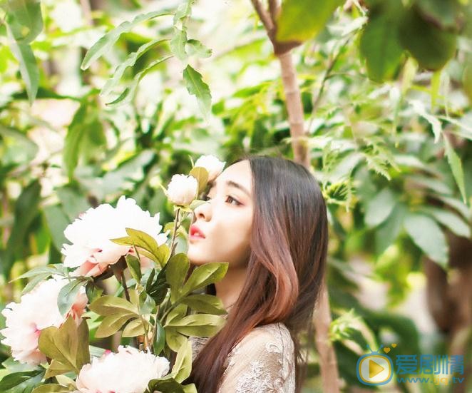 张鹤怡花儿写真 张鹤怡高清写真_张鹤怡高清剧照