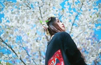 张鹤怡花儿写真 张鹤怡高清写真_张鹤怡高清剧照
