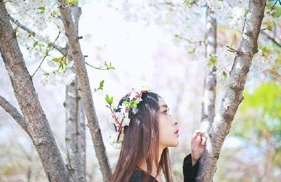 张鹤怡花儿写真 张鹤怡高清写真_张鹤怡高清剧照