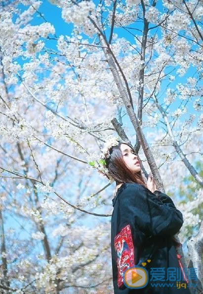 张鹤怡花儿写真 张鹤怡高清写真_张鹤怡高清剧照