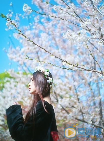 张鹤怡花儿写真 张鹤怡高清写真_张鹤怡高清剧照
