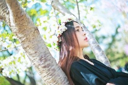 张鹤怡花儿写真 张鹤怡高清写真_张鹤怡高清剧照