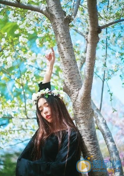 张鹤怡花儿写真 张鹤怡高清写真_张鹤怡高清剧照
