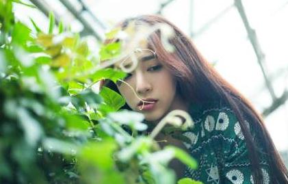 杨宛翊绿色写真 杨宛翊高清写真_杨宛翊高清剧照