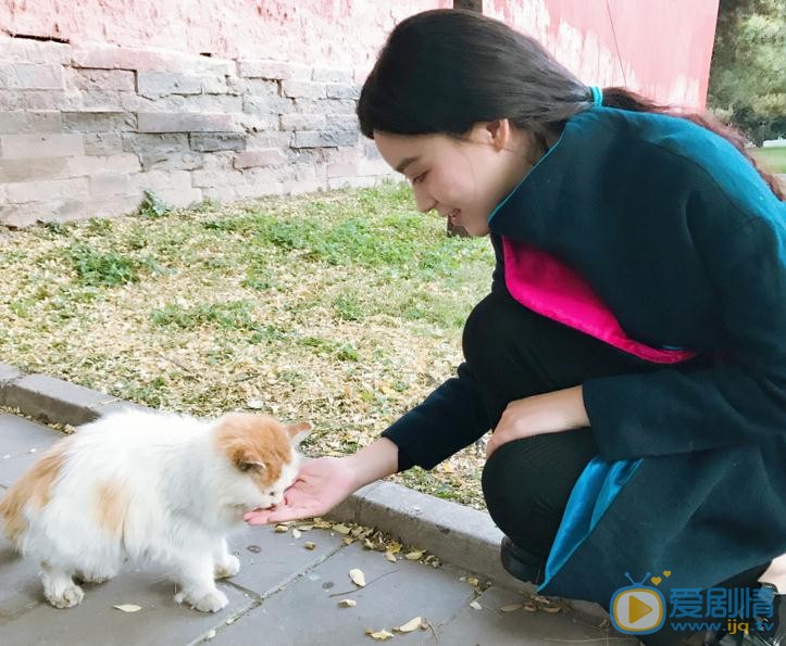 王亚楠街拍写真 王亚楠高清写真_王亚楠高清剧照