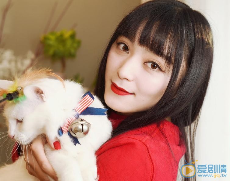 王亚楠宠物写真 王亚楠高清写真_王亚楠高清剧照