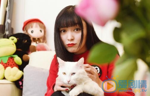 王亚楠宠物写真 王亚楠高清写真_王亚楠高清剧照