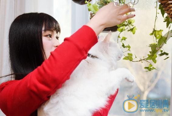 王亚楠宠物写真 王亚楠高清写真_王亚楠高清剧照