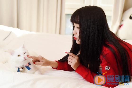 王亚楠宠物写真 王亚楠高清写真_王亚楠高清剧照