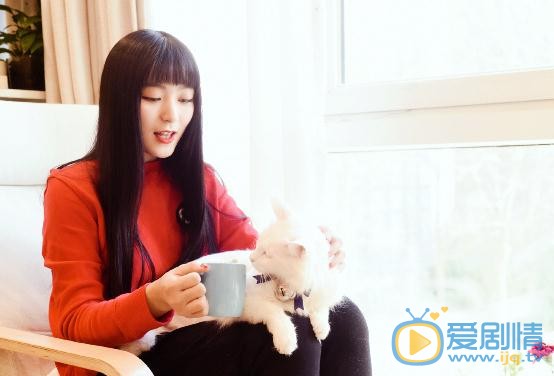 王亚楠宠物写真 王亚楠高清写真_王亚楠高清剧照