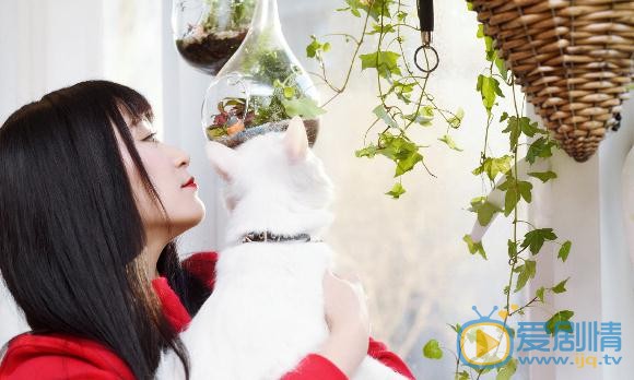 王亚楠宠物写真 王亚楠高清写真_王亚楠高清剧照