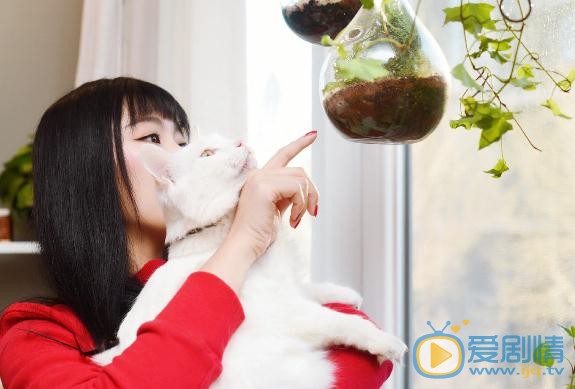 王亚楠宠物写真 王亚楠高清写真_王亚楠高清剧照