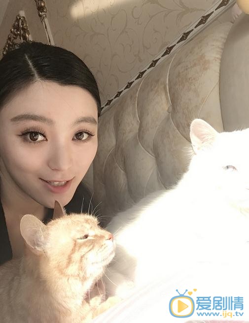 王亚楠宠物合照 王亚楠高清写真_王亚楠高清剧照