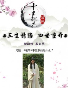 十里桃花后传