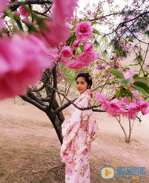 王佳慧花儿写真 王佳慧高清写真_王佳慧高清剧照