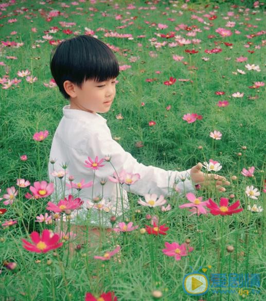 韩昊霖街拍写真 韩昊霖高清写真_韩昊霖高清剧照