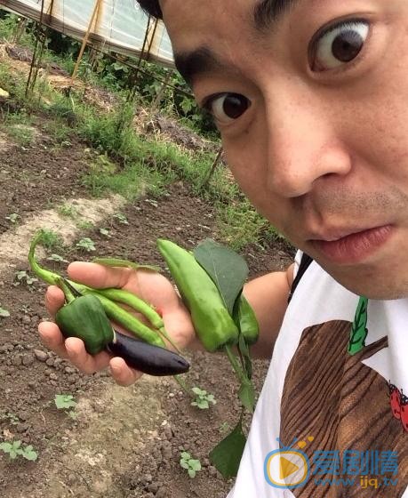 田雷生活照 田雷高清写真_田雷高清剧照