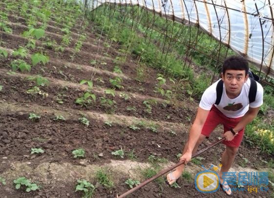 田雷生活照 田雷高清写真_田雷高清剧照