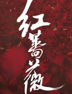 红蔷薇什么时候播出？红蔷薇播出时间及上星平台介绍