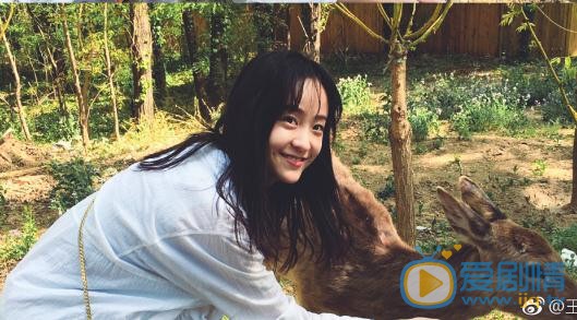 王歆霆清纯写真 王歆霆高清写真_王歆霆高清剧照