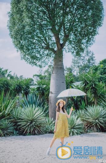 王歆霆夏日写真 王歆霆高清写真_王歆霆高清剧照