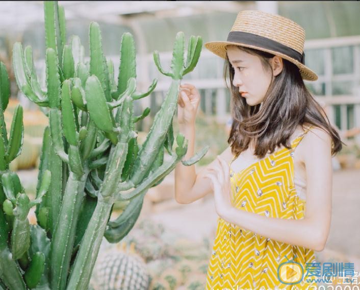 王歆霆夏日写真 王歆霆高清写真_王歆霆高清剧照