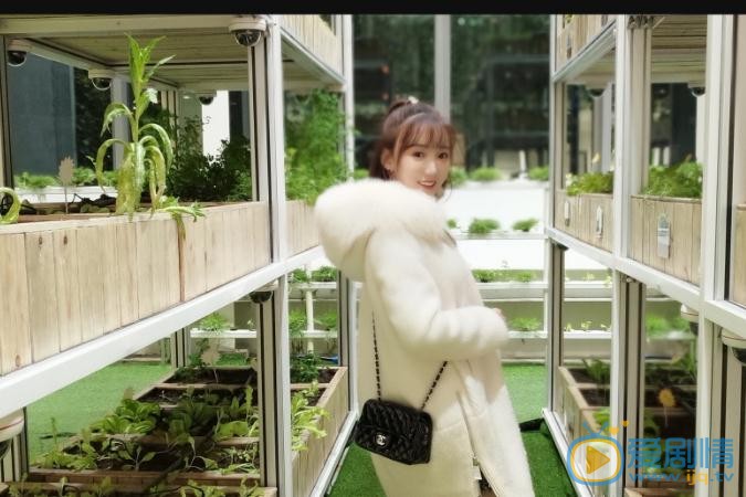 梦楠清纯写真 梦楠高清写真_梦楠高清剧照