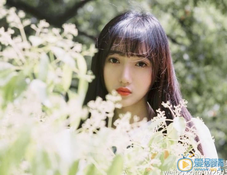 梦楠青春写真 梦楠高清写真_梦楠高清剧照