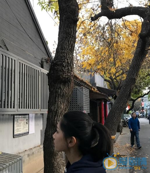 刘诗童生活照 刘诗童高清写真_刘诗童高清剧照