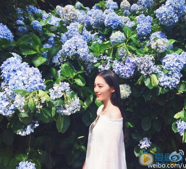 王棠云清纯写真 王棠云高清写真_王棠云高清剧照